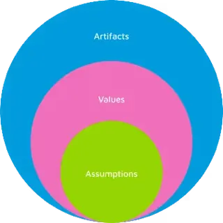 Why organisations misunderstand things 1