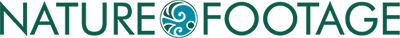 NatureFootage logo