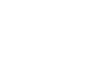 Newton logo